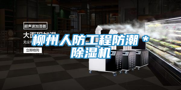 柳州人防工程防潮＊猫咪成人官网