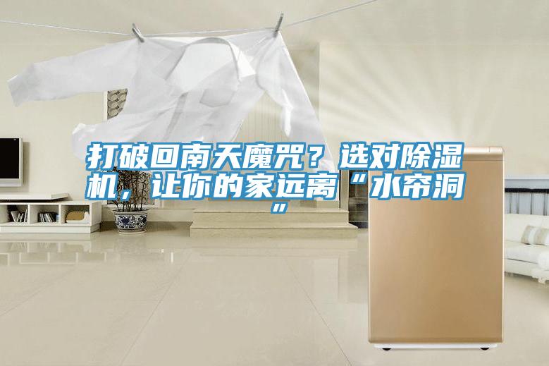 打破回南天魔咒？选对猫咪成人官网，让你的家远离“水帘洞”