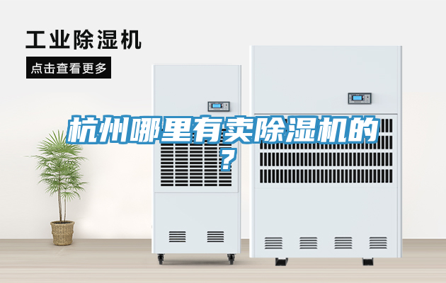 杭州哪里有卖猫咪成人官网的？