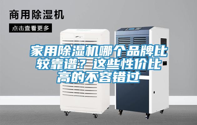 家用猫咪成人官网哪个品牌比较靠谱？这些性价比高的不容错过