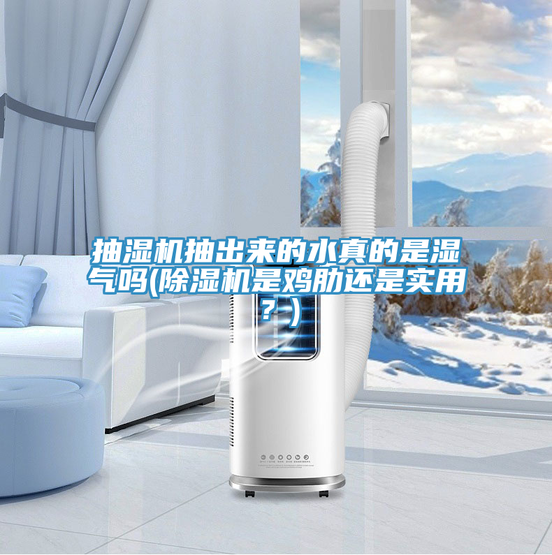 抽湿机抽出来的水真的是湿气吗(猫咪成人官网是鸡肋还是实用？)