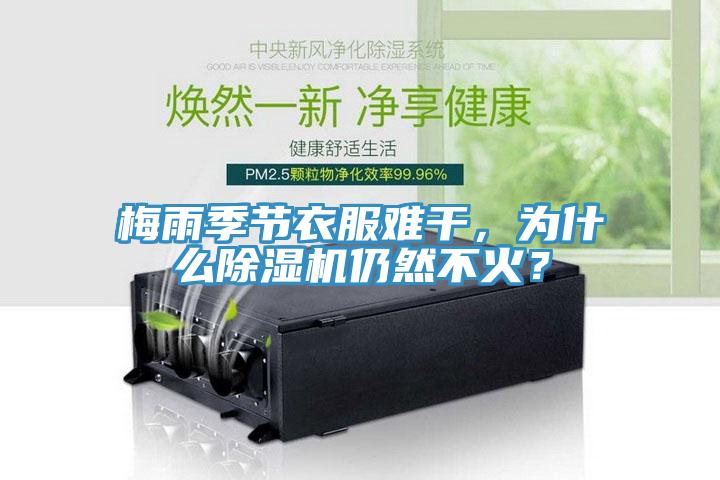梅雨季节衣服难干，为什么猫咪成人官网仍然不火？