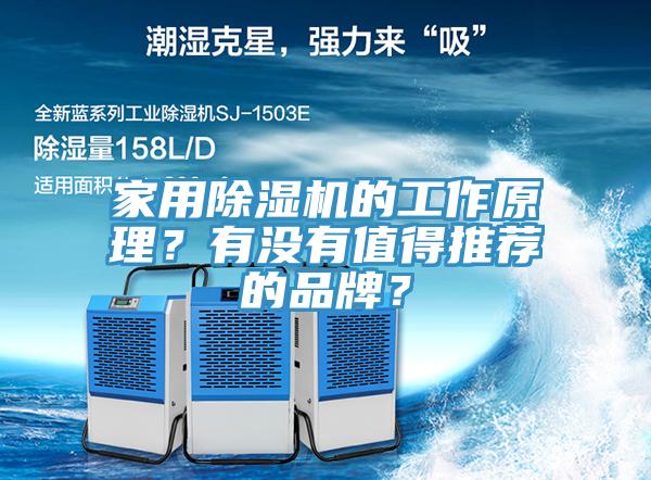 家用猫咪成人官网的工作原理？有没有值得推荐的品牌？