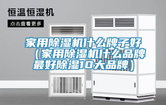 家用猫咪成人官网什么牌子好（家用猫咪成人官网什么品牌最好除湿10大品牌）