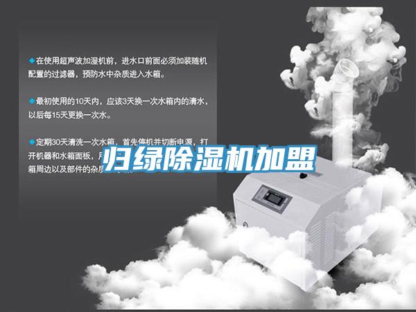 归绿猫咪成人官网加盟