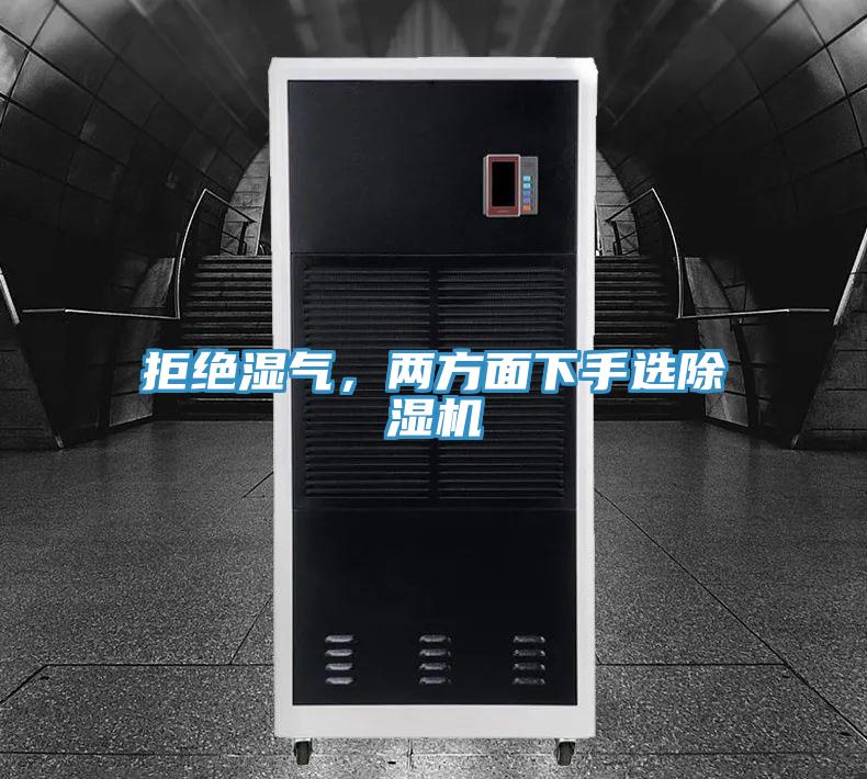 拒绝湿气，两方面下手选猫咪成人官网