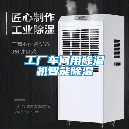工厂车间用猫咪成人官网智能除湿
