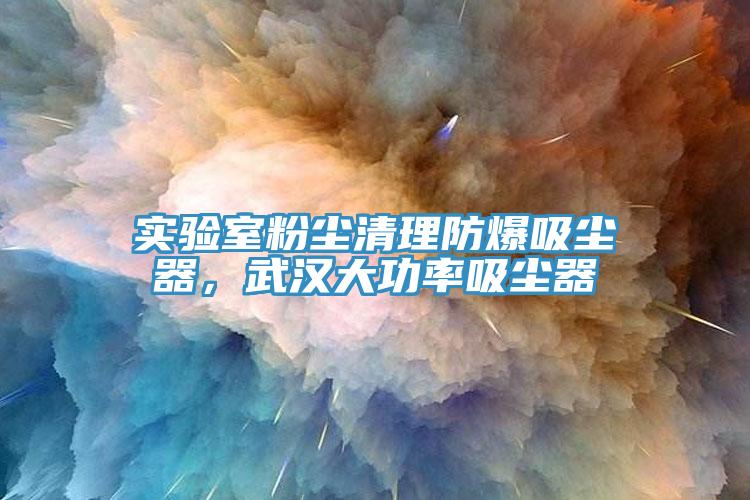 实验室粉尘清理防爆吸尘器，武汉大功率吸尘器