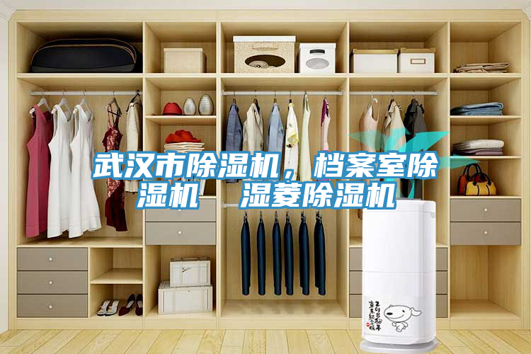 武汉市猫咪成人官网，档案室猫咪成人官网  湿菱猫咪成人官网