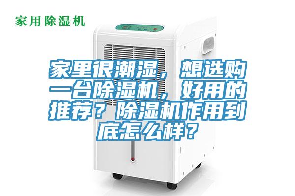 家里很潮湿，想选购一台猫咪成人官网，好用的推荐？猫咪成人官网作用到底怎么样？