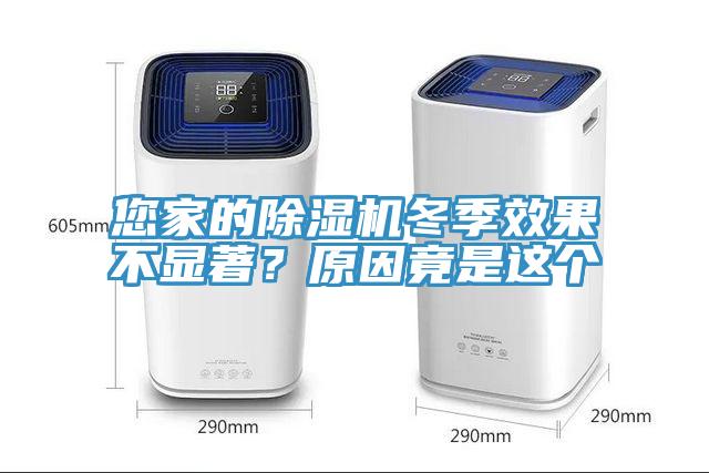 您家的猫咪成人官网冬季效果不显著？原因竟是这个