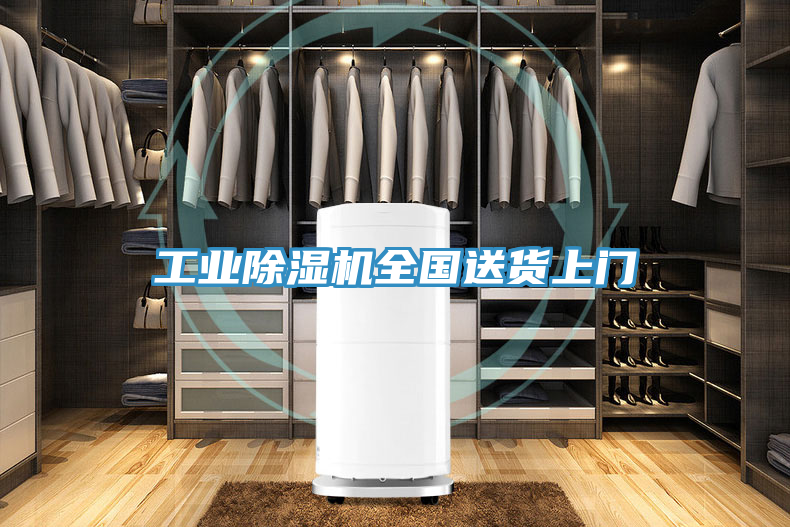 工业猫咪成人官网全国送货上门