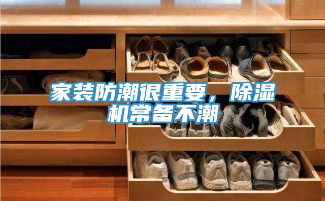 家装防潮很重要，猫咪成人官网常备不潮