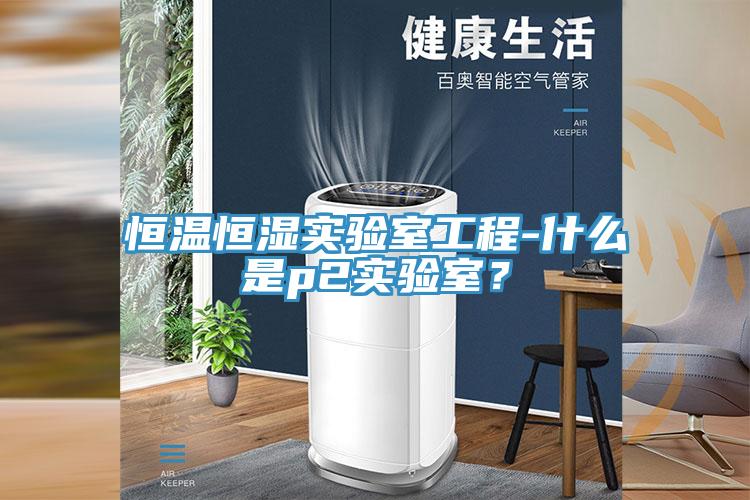 恒温恒湿实验室工程-什么是p2实验室？