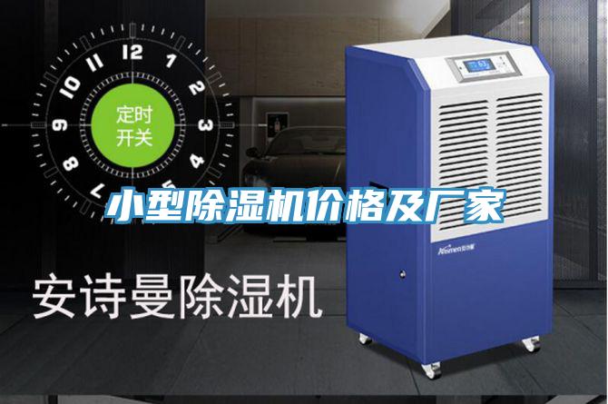 小型猫咪成人官网价格及厂家