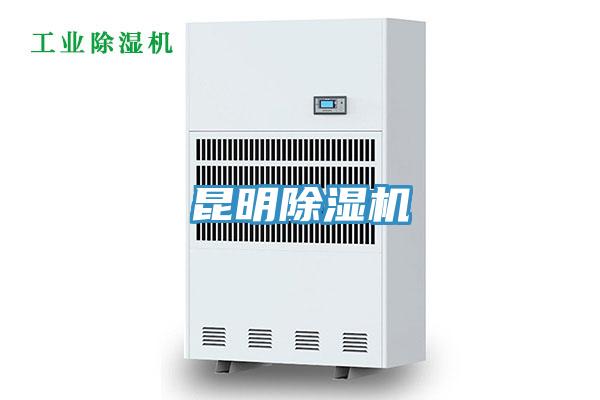昆明猫咪成人官网