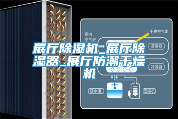 展厅猫咪成人官网_展厅除湿器_展厅防潮干燥机