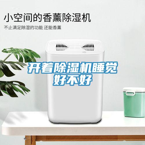 开着猫咪成人官网睡觉好不好