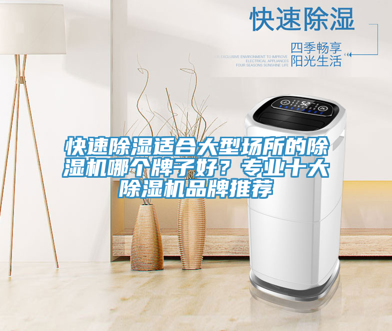 快速除湿适合大型场所的猫咪成人官网哪个牌子好？专业十大猫咪成人官网品牌推荐
