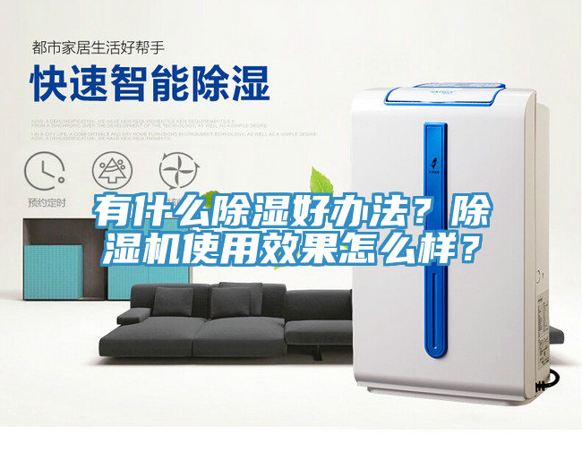 有什么除湿好办法？猫咪成人官网使用效果怎么样？