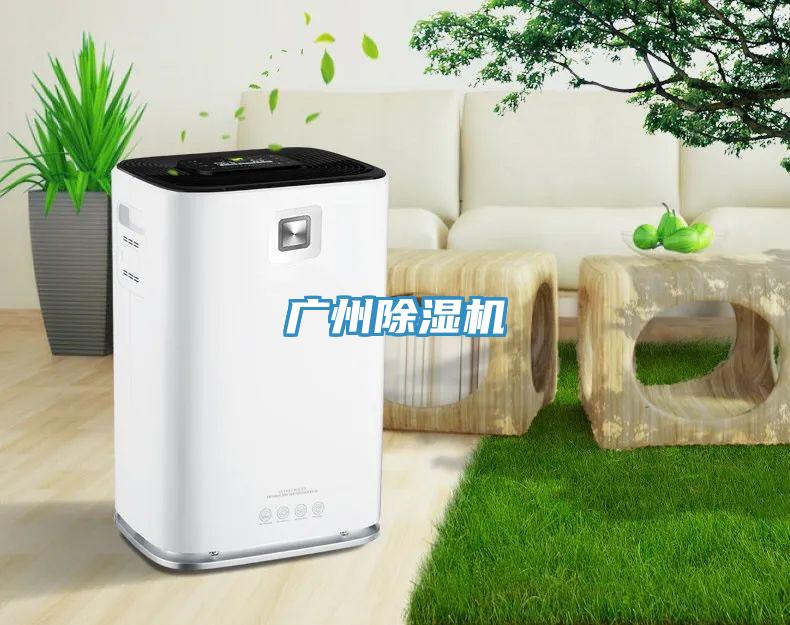广州猫咪成人官网