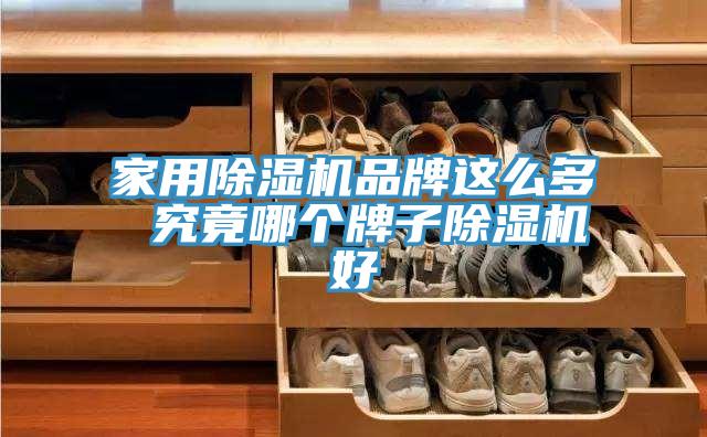 家用猫咪成人官网品牌这么多 究竟哪个牌子猫咪成人官网好