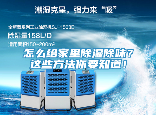 怎么给家里除湿除味？这些方法你要知道！