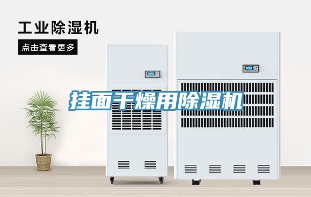 挂面干燥用猫咪成人官网