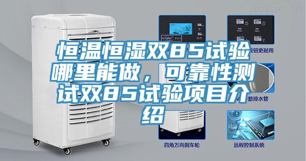恒温恒湿双85试验哪里能做，可靠性测试双85试验项目介绍