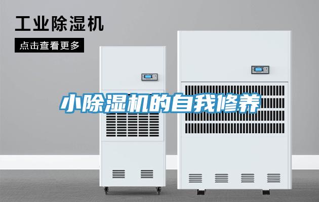 小猫咪成人官网的自我修养
