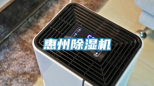 惠州猫咪成人官网