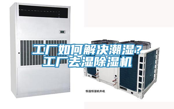 工厂如何解决潮湿？工厂去湿猫咪成人官网