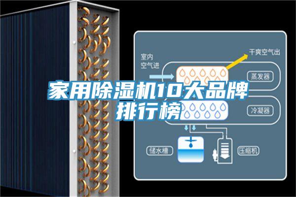 家用猫咪成人官网10大品牌排行榜