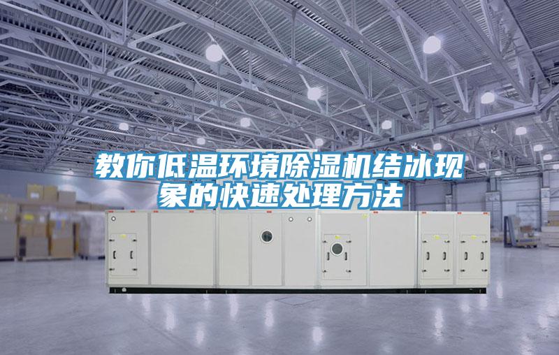 教你低温环境猫咪成人官网结冰现象的快速处理方法