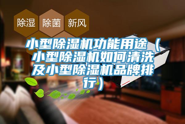 小型猫咪成人官网功能用途（小型猫咪成人官网如何清洗及小型猫咪成人官网品牌排行）