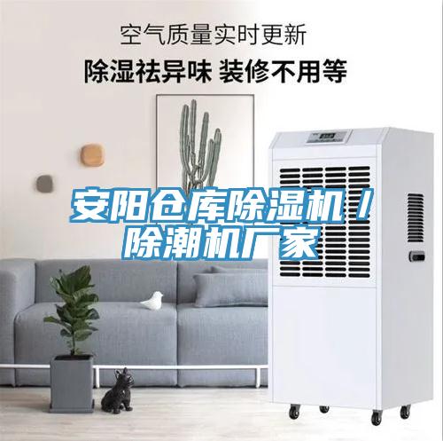 安阳仓库猫咪成人官网／除潮机厂家