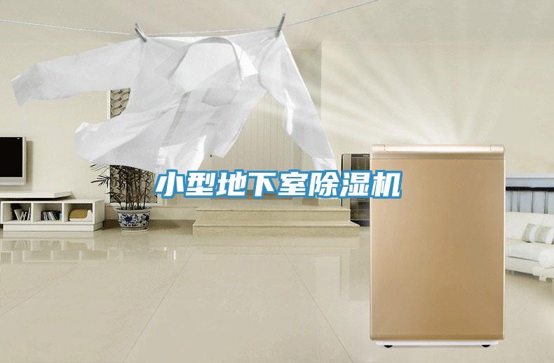 小型地下室猫咪成人官网