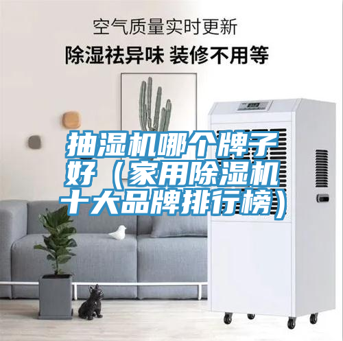 抽湿机哪个牌子好（家用猫咪成人官网十大品牌排行榜）