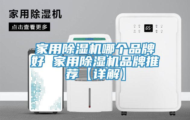 家用猫咪成人官网哪个品牌好 家用猫咪成人官网品牌推荐【详解】