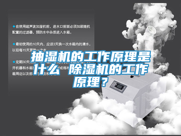 抽湿机的工作原理是什么 猫咪成人官网的工作原理？