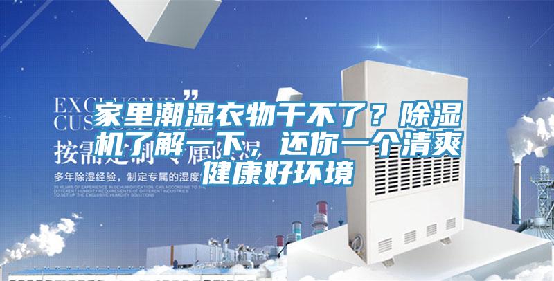 家里潮湿衣物干不了？猫咪成人官网了解一下，还你一个清爽健康好环境