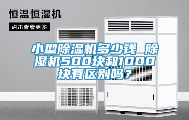 小型猫咪成人官网多少钱 猫咪成人官网500块和1000块有区别吗？