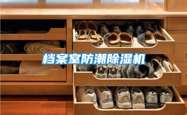 档案室防潮猫咪成人官网