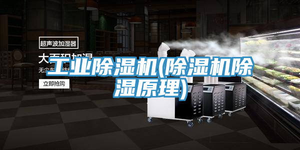 工业猫咪成人官网(猫咪成人官网除湿原理)