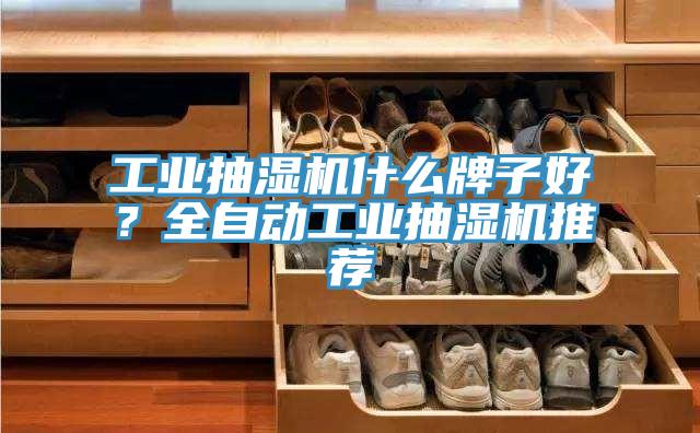 工业抽湿机什么牌子好？全自动工业抽湿机推荐