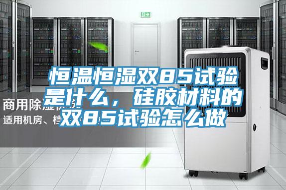 恒温恒湿双85试验是什么，硅胶材料的双85试验怎么做