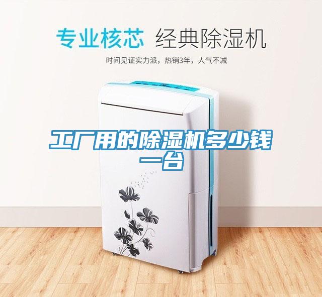 工厂用的猫咪成人官网多少钱一台