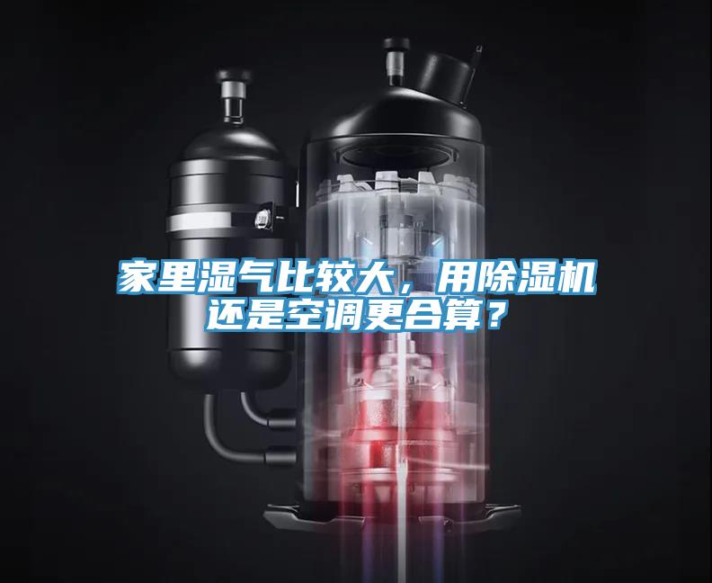 家里湿气比较大，用猫咪成人官网还是空调更合算？