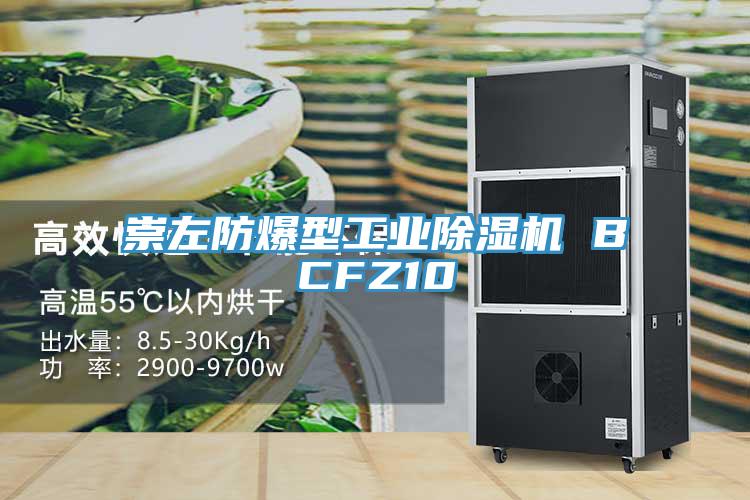 崇左防爆型工业猫咪成人官网 BCFZ10