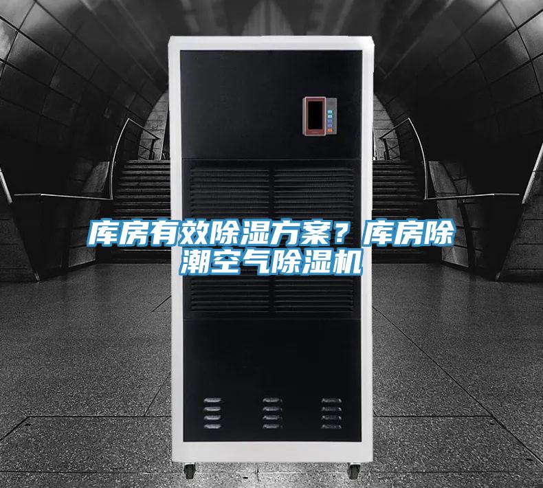库房有效除湿方案？库房除潮空气猫咪成人官网